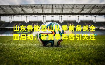 山东鲁能泰山队季前备战全面启动,新赛季阵容引关注