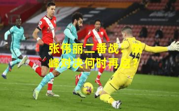 张伟丽二番战:巅峰对决何时再启?