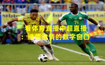 看体育直播中超直播：绿茵激情的数字窗口