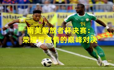 南美解放者杯决赛：荣耀与激情的巅峰对决