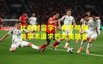 比利时留学：体育精神与学术追求的完美融合