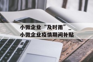 小微企业“及时雨”_小微企业疫情期间补贴